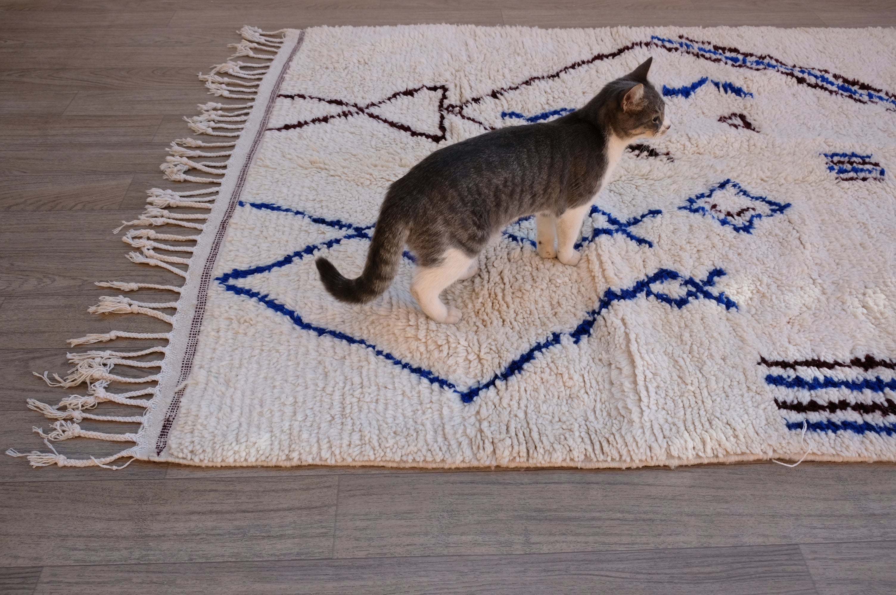 Azilal Moroccan Rug - 4'11'' x 9' - AZ120